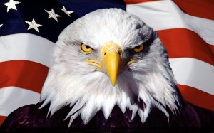 eagle-american-flag-background-image-hd-wide-wallpapers-free